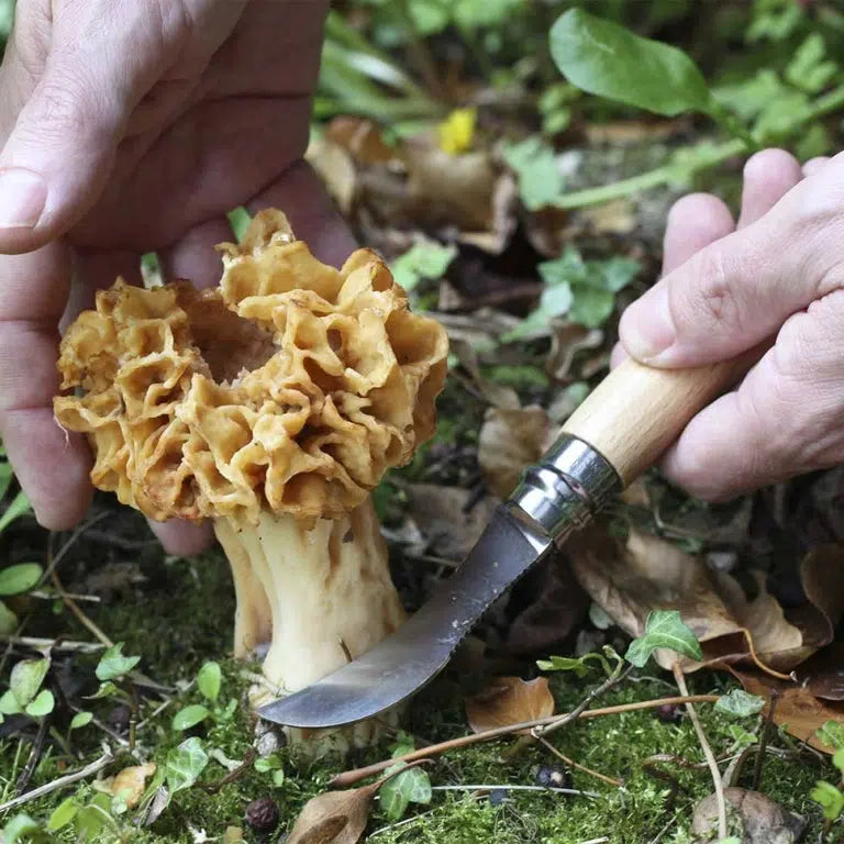 Opinel Mushroom Foraging Knife