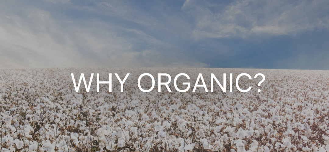 Why Choose Organic Cotton