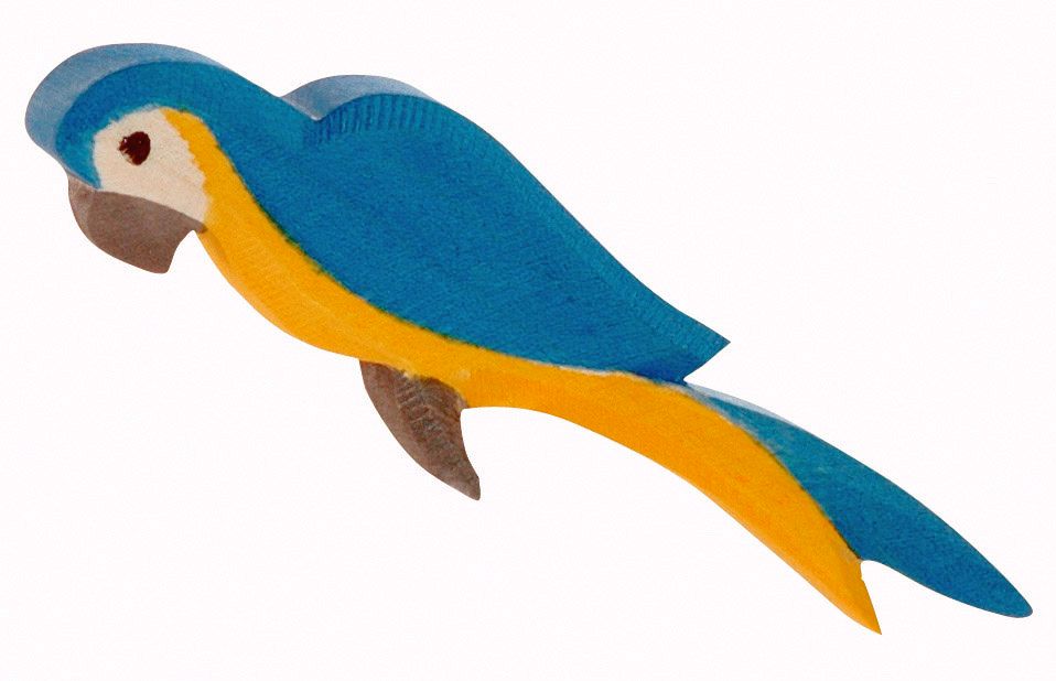 Ostheimer Parrot Blue