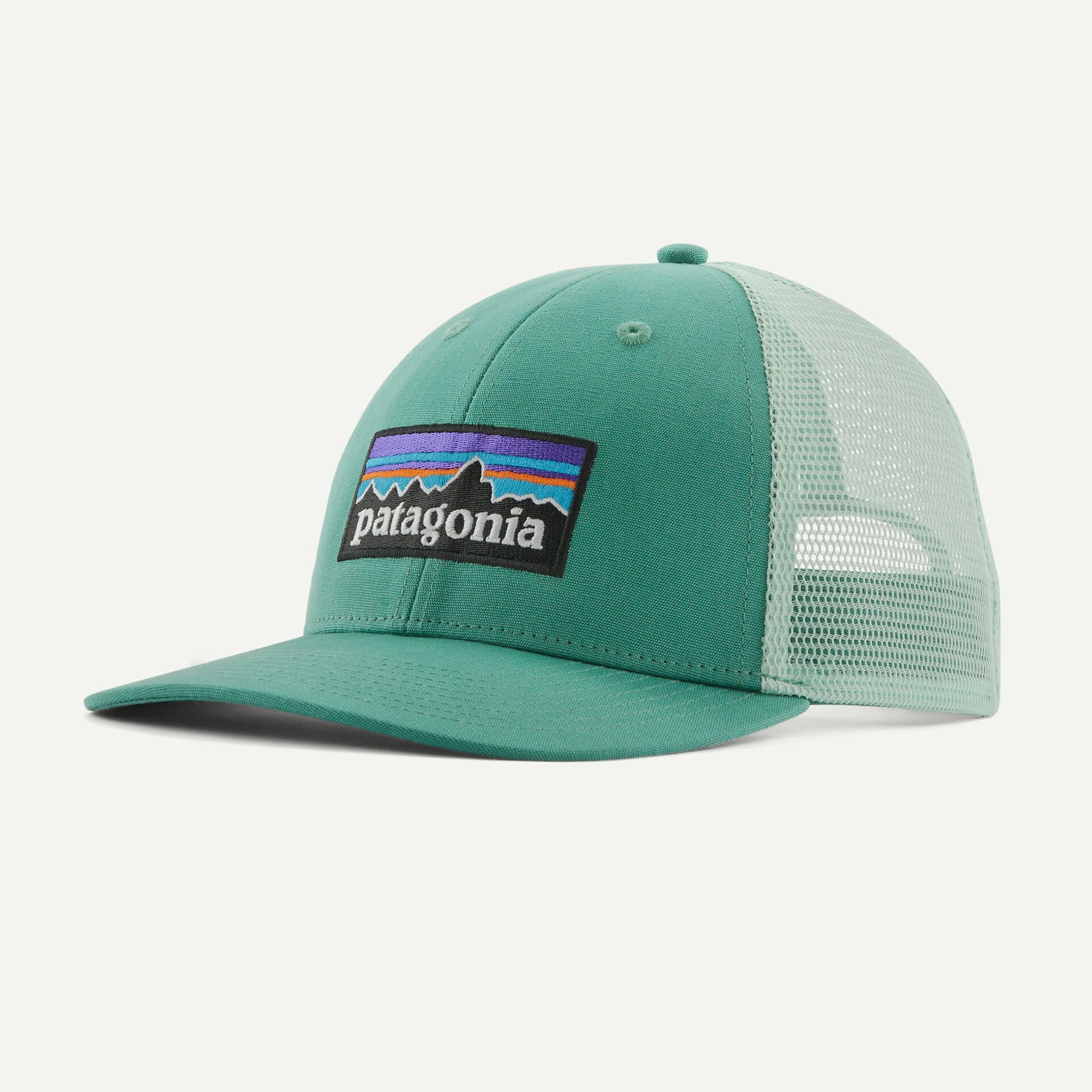 Patagonia Adults P-6 Logo LoPro Trucker Hat