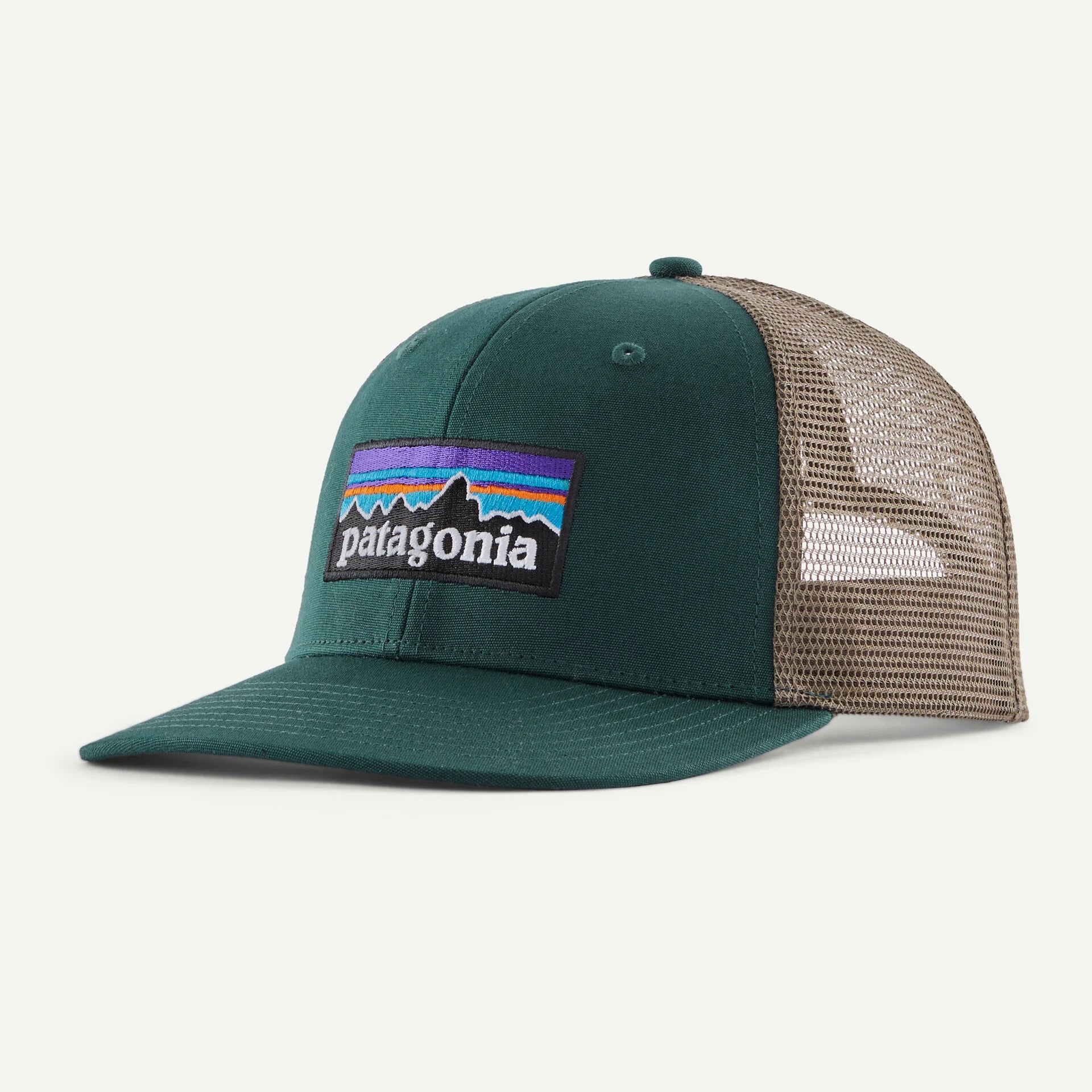 Patagonia Adults P-6 Logo Trucker Cap