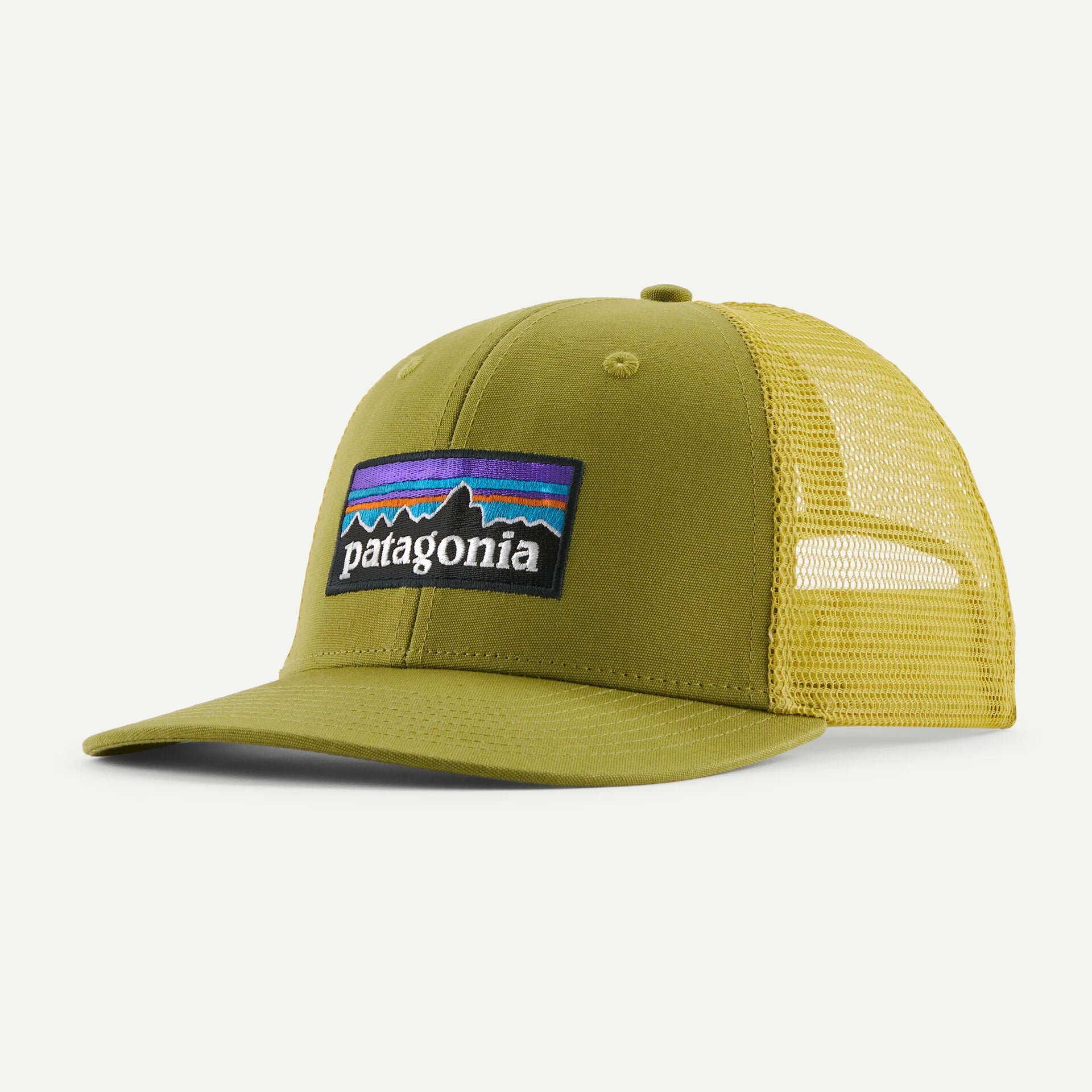 Patagonia Adults P-6 Logo Trucker Cap