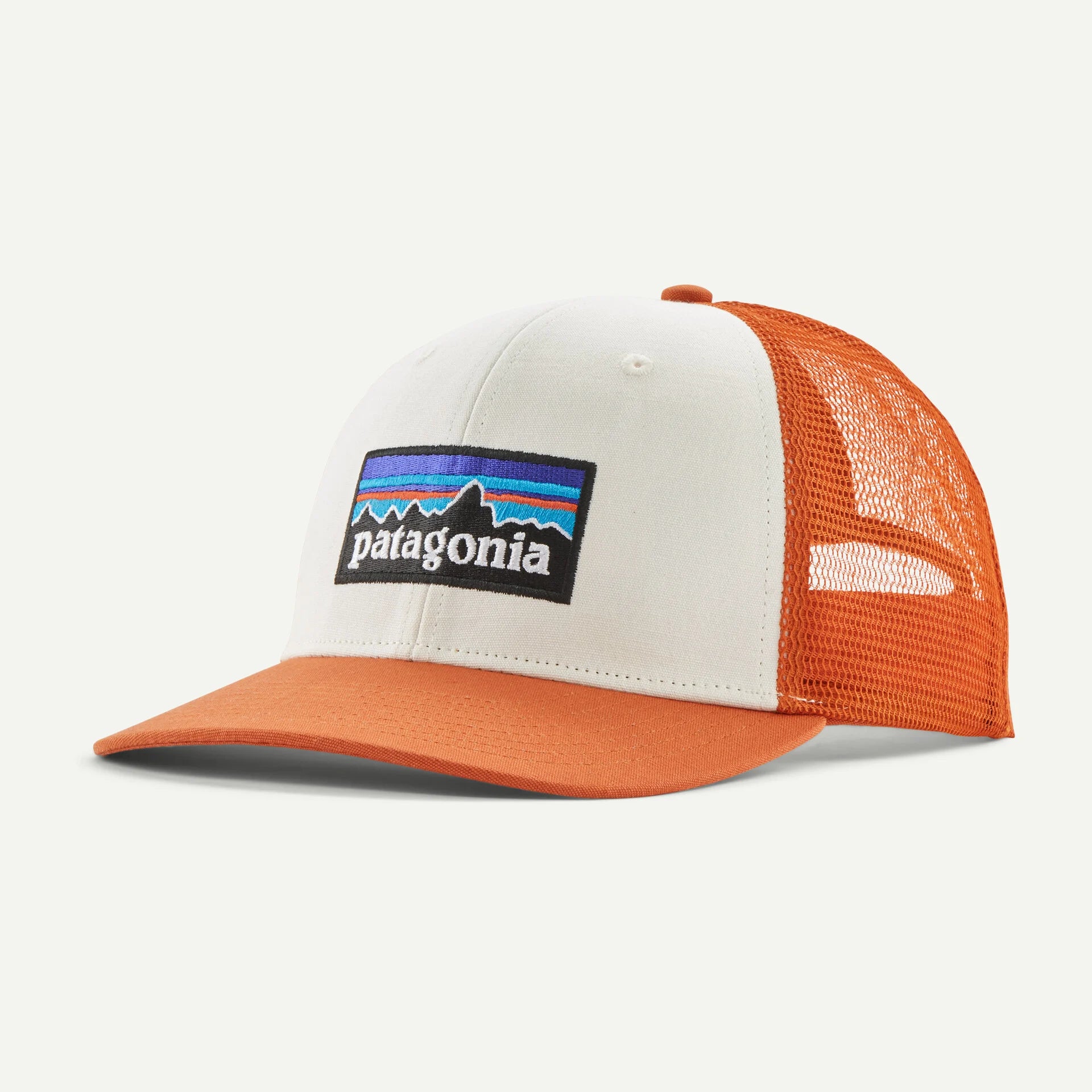 Patagonia Adults P-6 Logo Trucker Cap