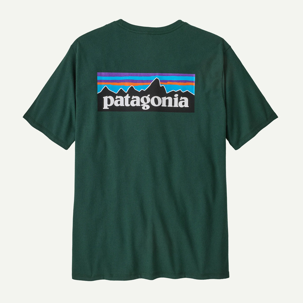 Patagonia Men's P-6 Logo Responsibili-Tee® Cascade Green