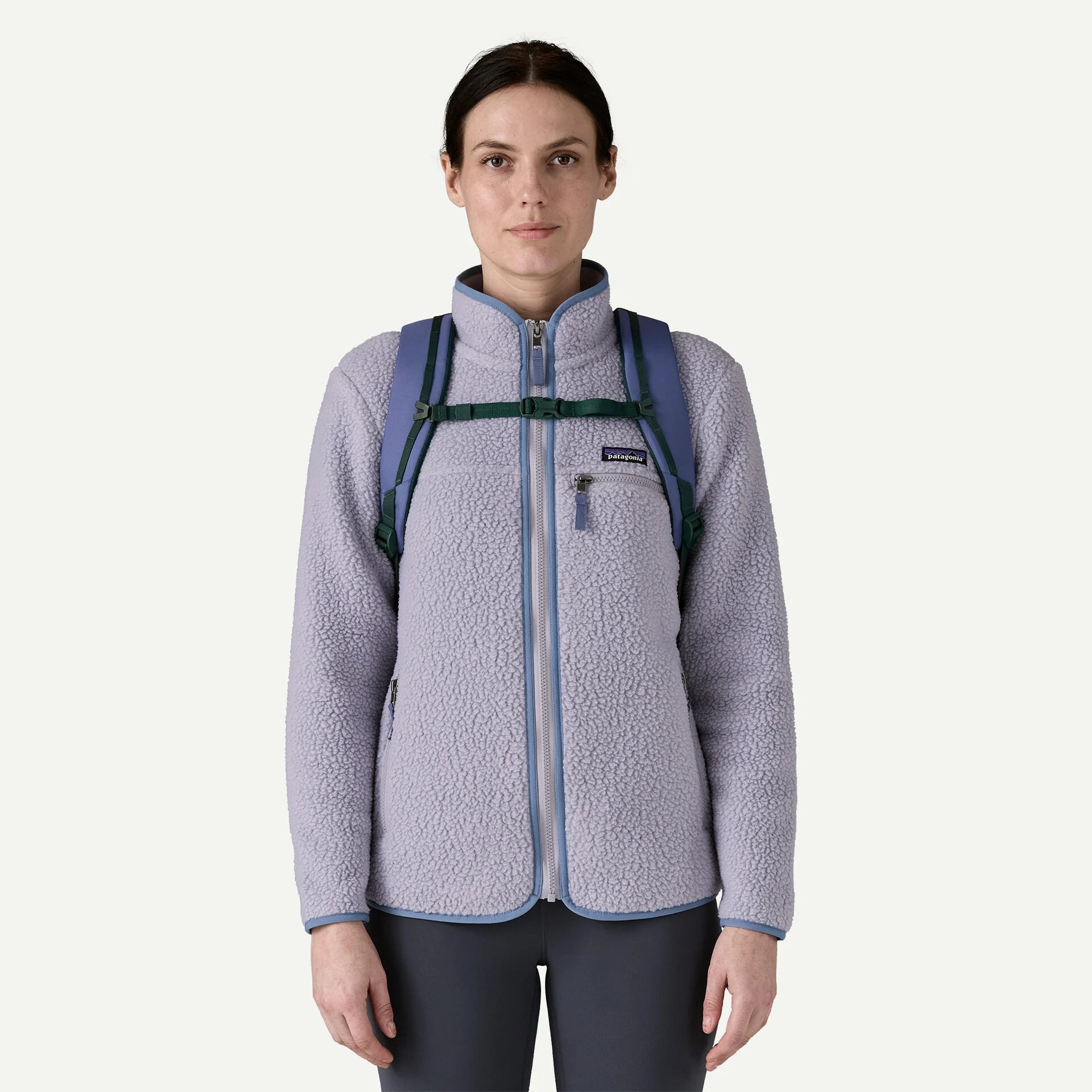 Patagonia Refugio Daypack 30L