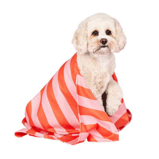 Dock and Bay Quick Dry Dog Towel