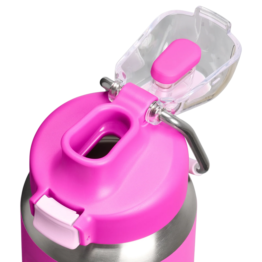 Stanley Classic Wellspring Bottle | 0.71L Violet Blossom