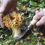 Opinel mushroom knife