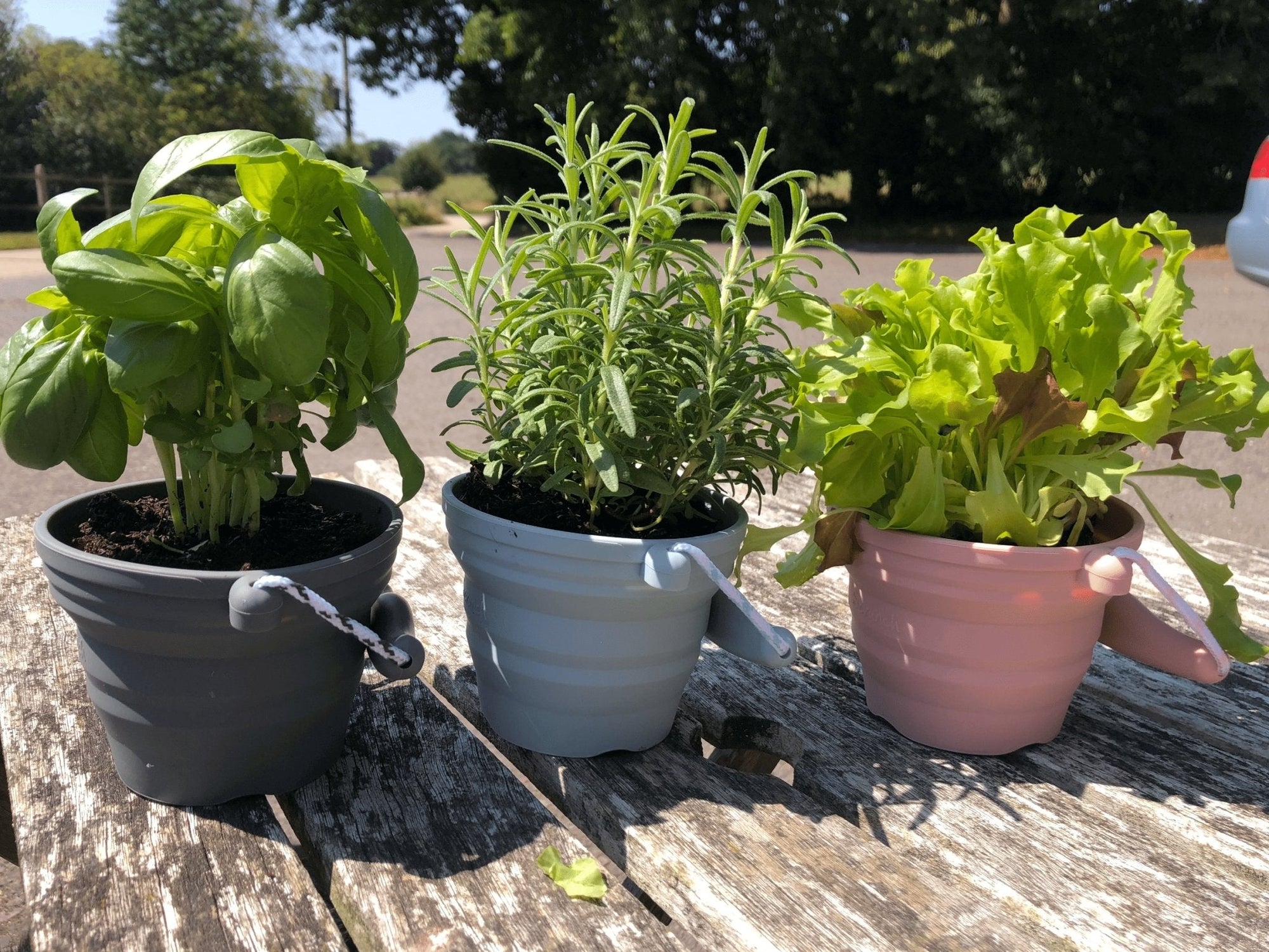 Scrunch Seedling Pot and Trowel Various Colours