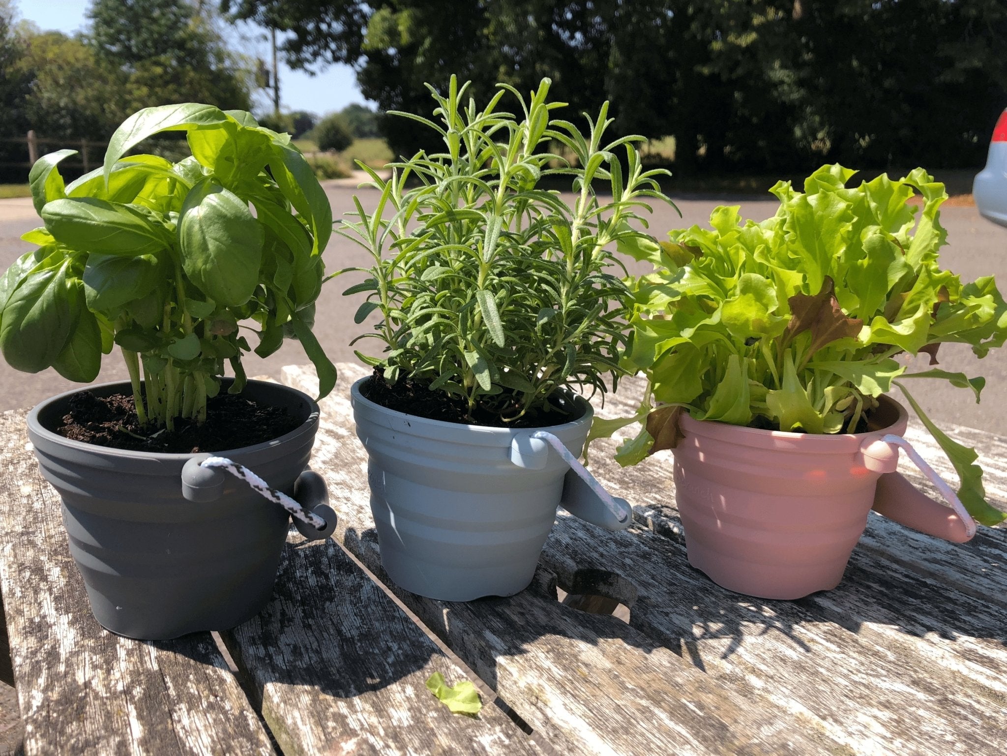 Scrunch Seedling Pot and Trowel Various Colours