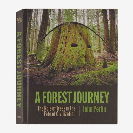 A Forest Journey Hardcover Book