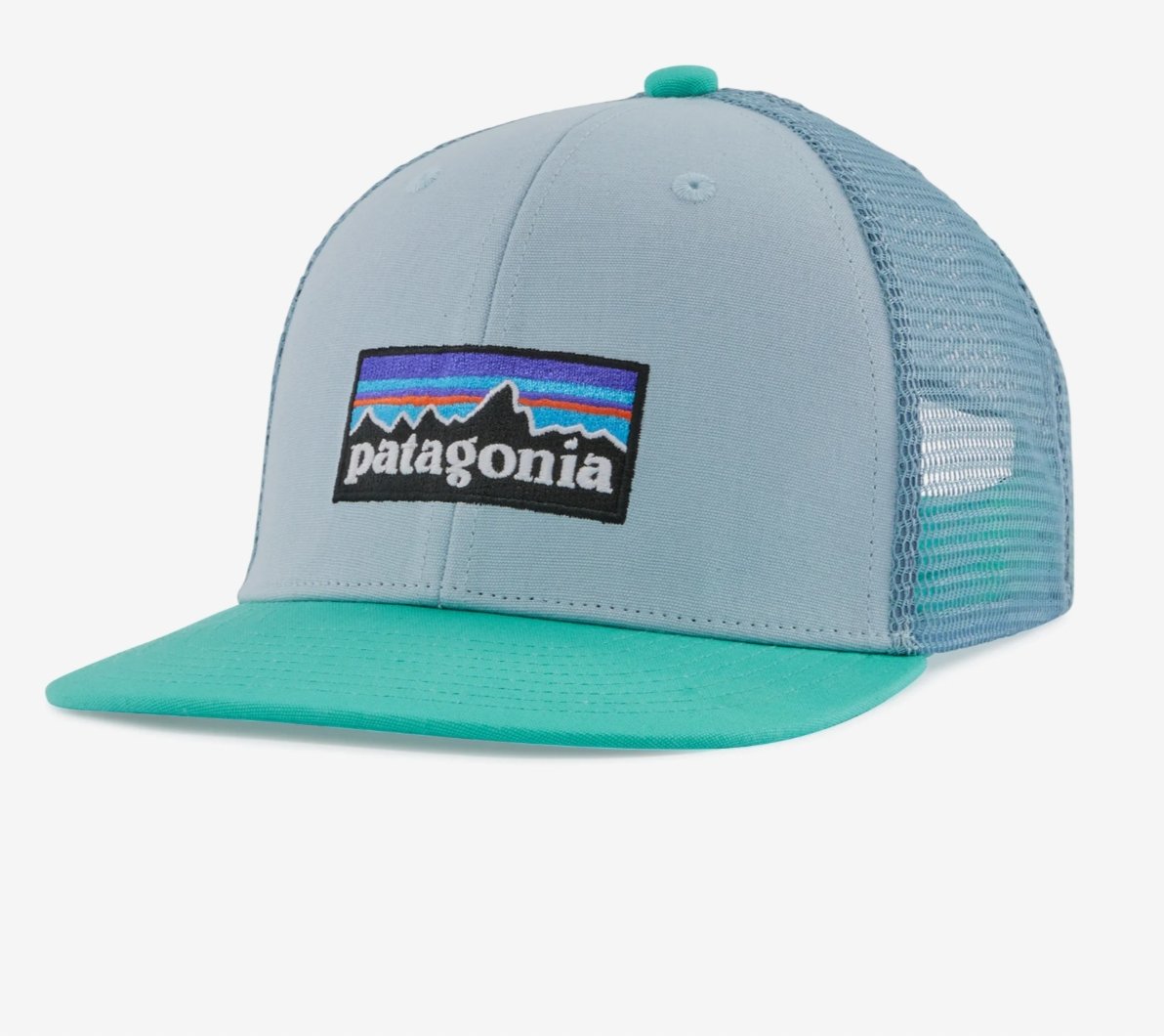 Teal deals patagonia hat